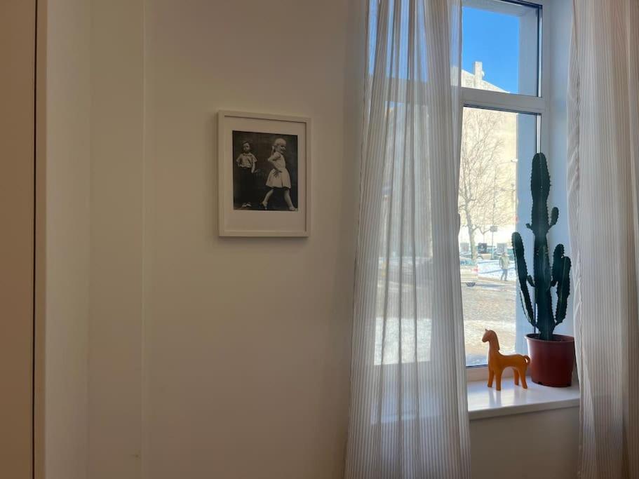 Cozy Sweet Apartamento